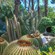 An array of cactus plants thriving within a date palm grove